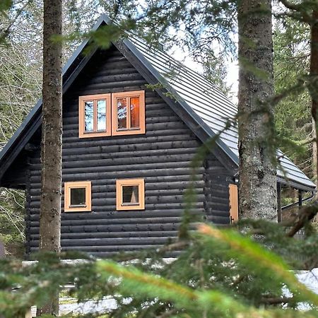 Cosy Lodge Pokljuka Горелєк Екстер'єр фото