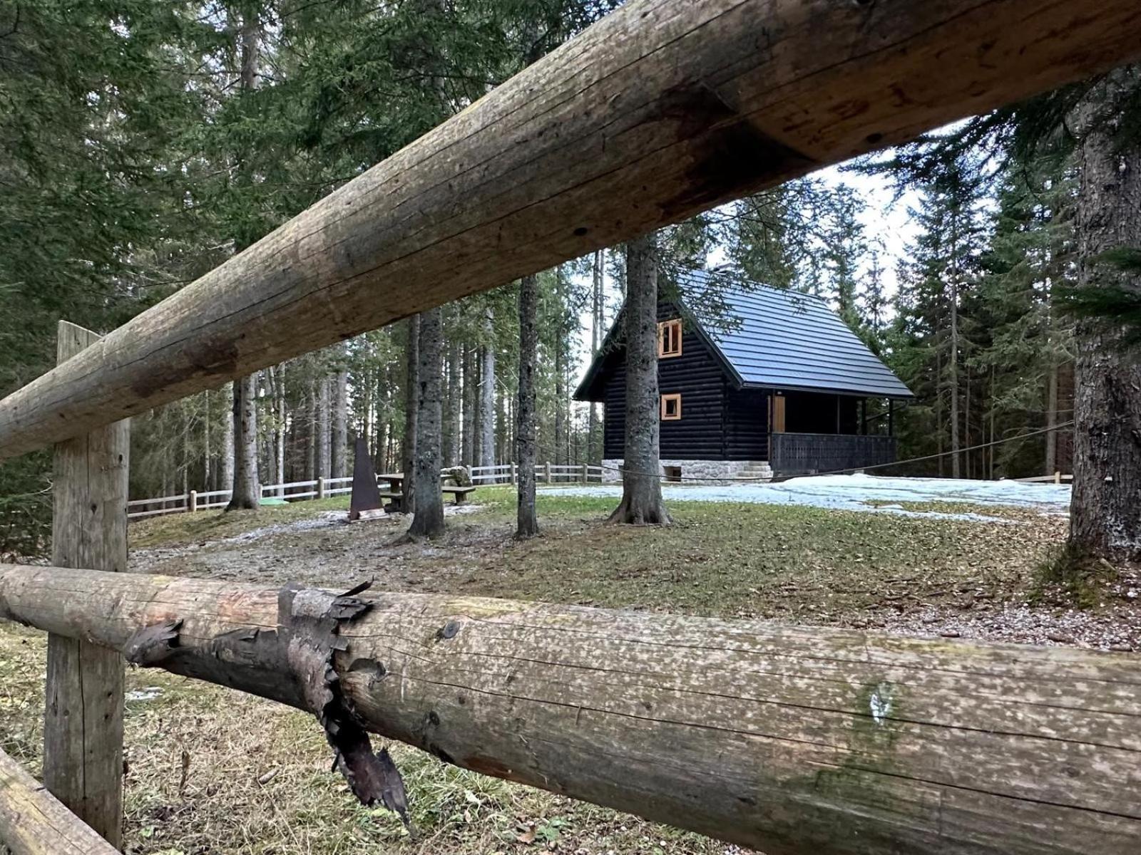 Cosy Lodge Pokljuka Горелєк Екстер'єр фото