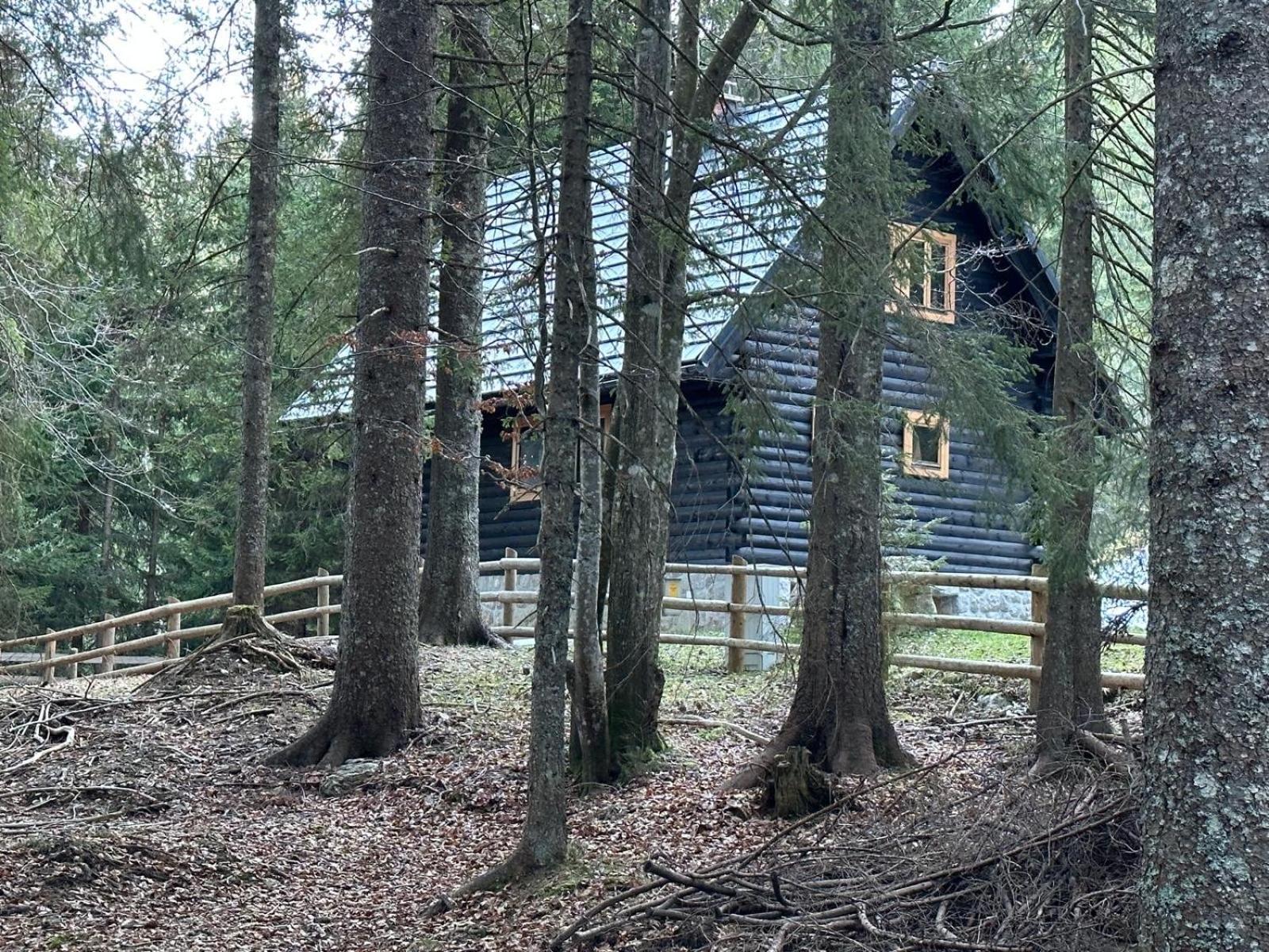 Cosy Lodge Pokljuka Горелєк Екстер'єр фото