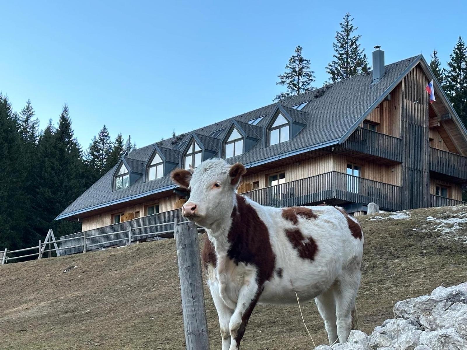 Cosy Lodge Pokljuka Горелєк Екстер'єр фото