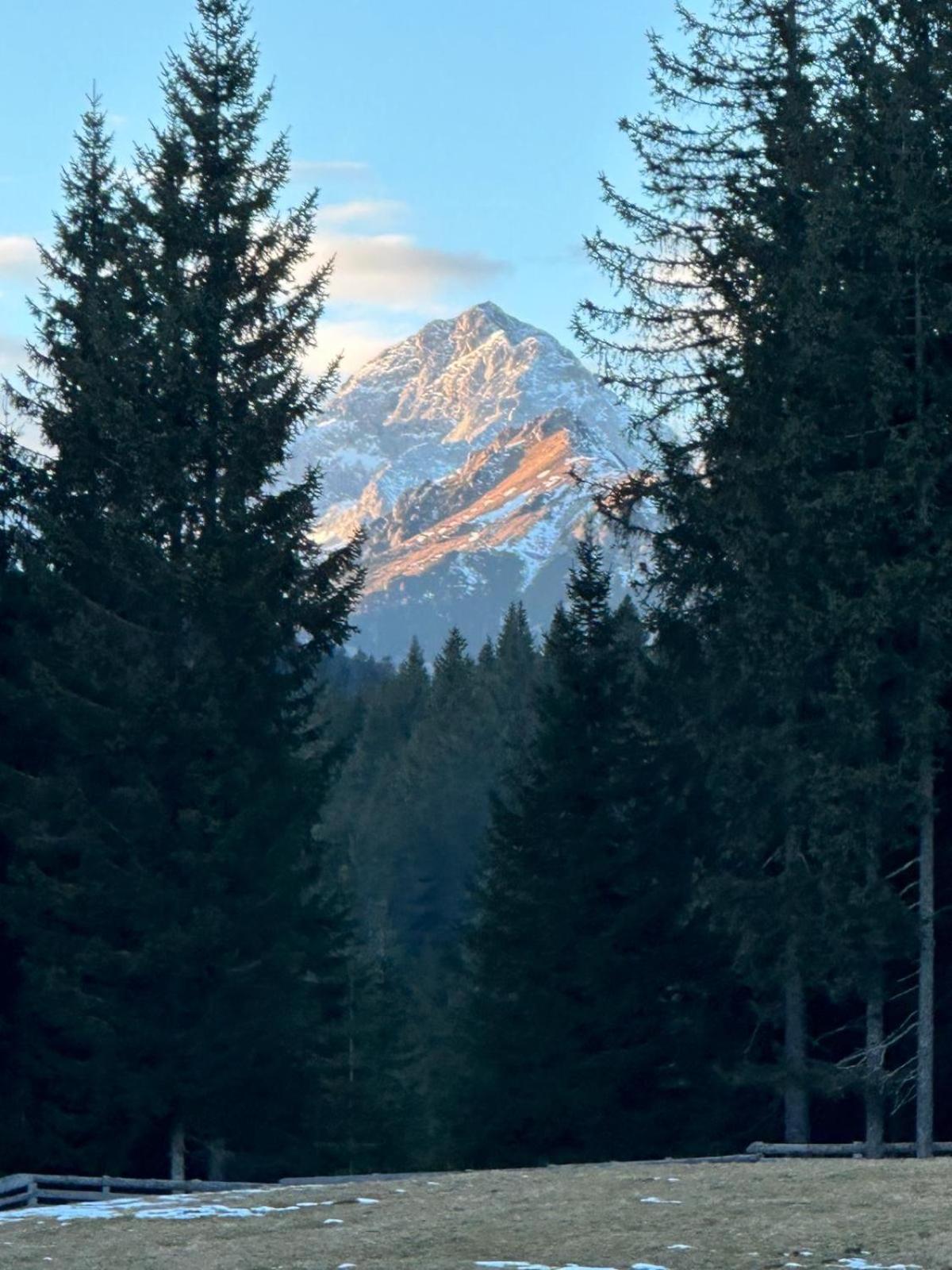 Cosy Lodge Pokljuka Горелєк Екстер'єр фото