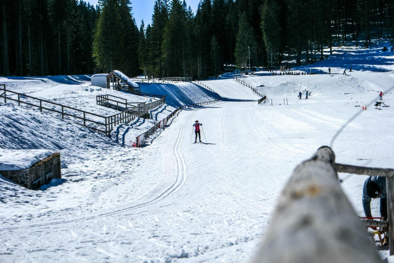 Cosy Lodge Pokljuka Горелєк Екстер'єр фото
